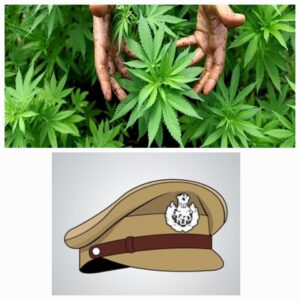 गांजाचा धूर पोलिसांनी विझवला